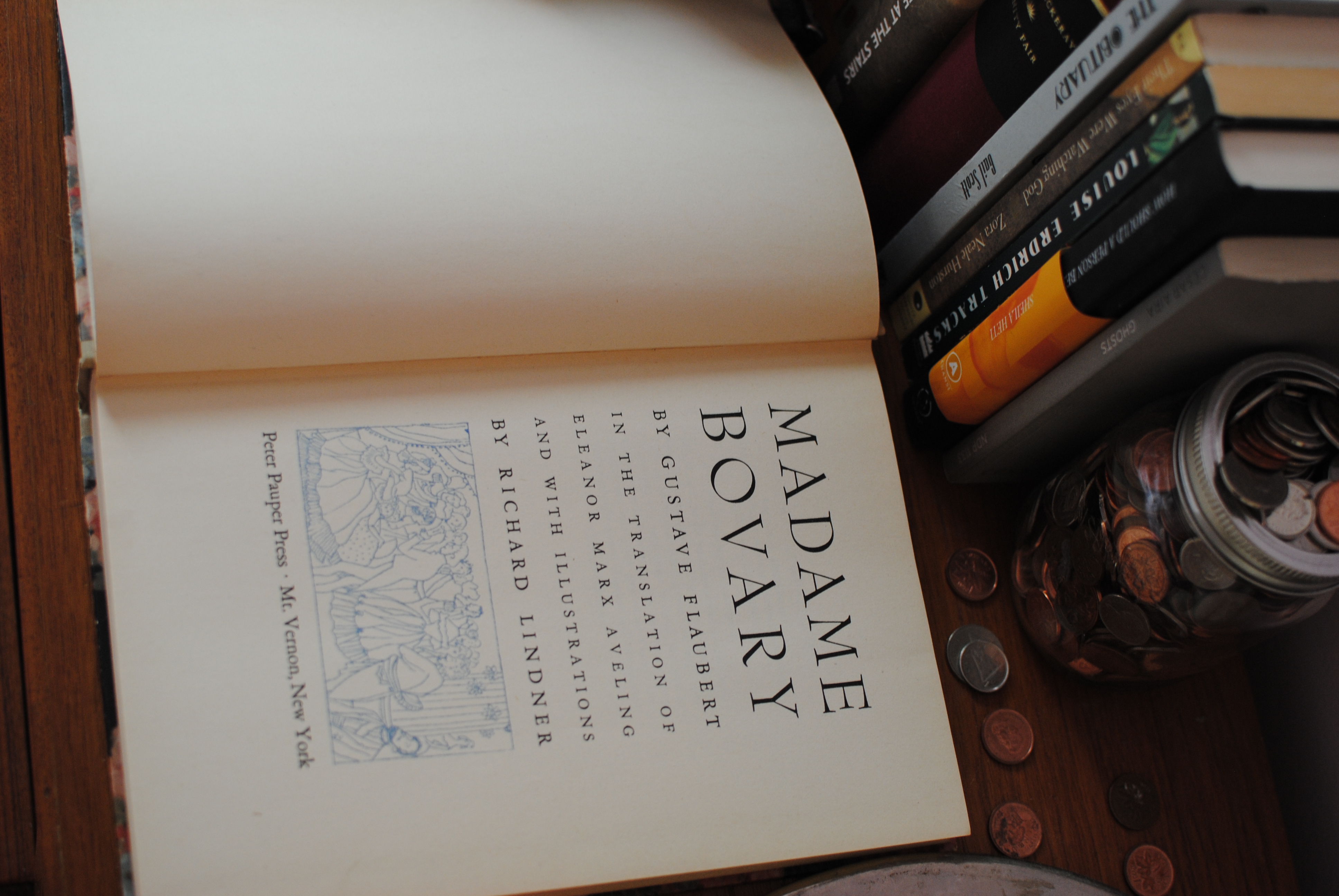 Il processo a Flaubert, un chirurgo letterario