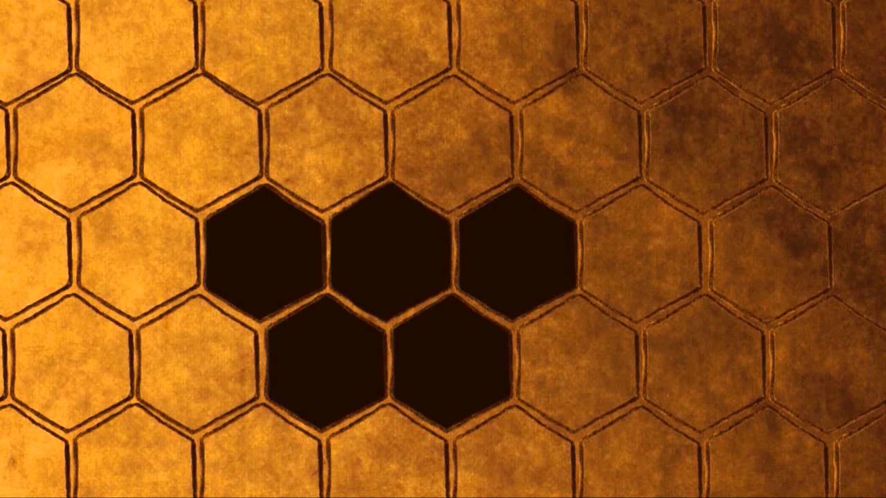 Le mie notti sono piene di Virgilio