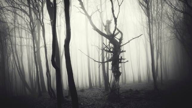 Il fascino dei thriller