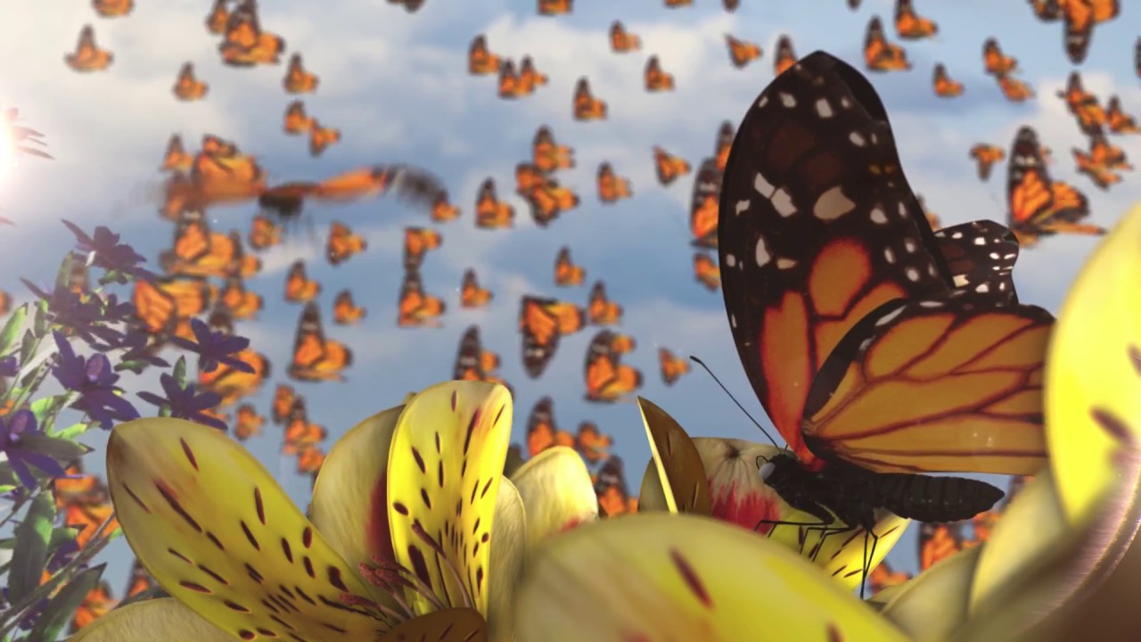 Anna Marchesini e Luigi Pirandello