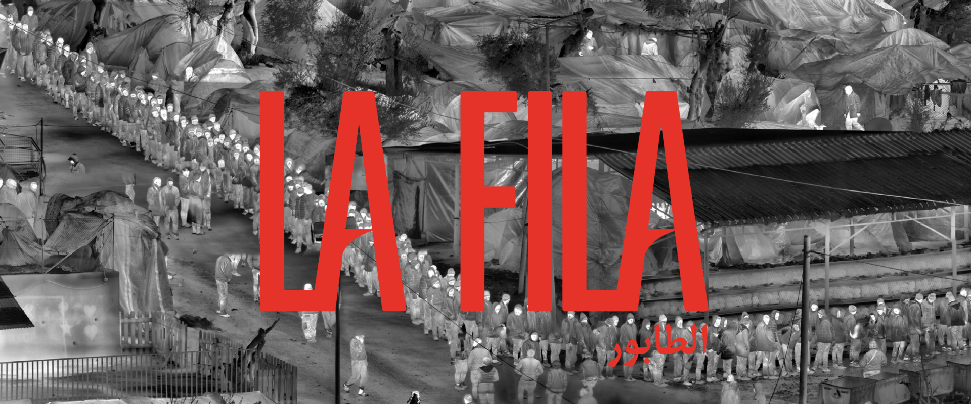 Intervista a Fernanda Fischione, traduttrice de La Fila (Not, 2018) di Basma Abdel Aziz