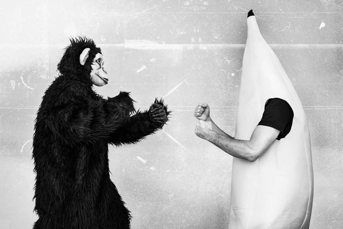 Proboscidi curiose, cavalli matematici e sputi di scimmia