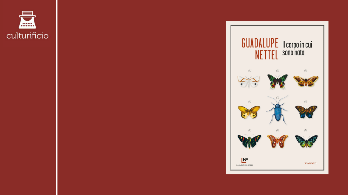 “Il corpo in cui sono nata” di Guadalupe Nettel