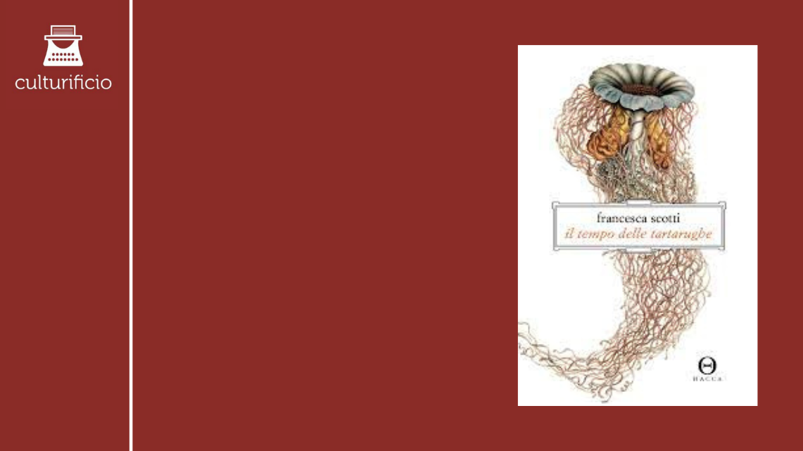 “Il tempo delle tartarughe” di Francesca Scotti