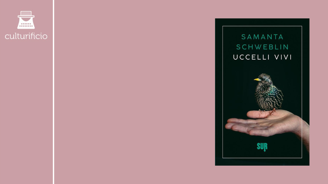 Sur: Uccelli vivi di Samanta Schweblin